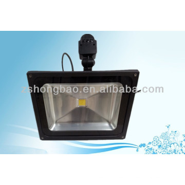 Park 60W IP65 BridgeLux Iluminación de inundación LED con movimiento